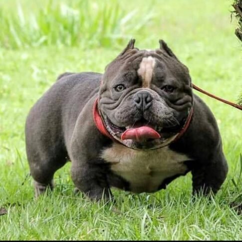 115980531_333162507701712_7689898707650460674_n