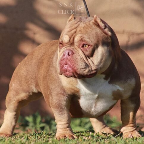 275016280_151048983981493_4133348570002617572_n