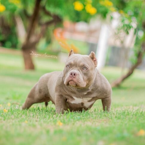 315495888_464714399098283_5185292940654807721_n