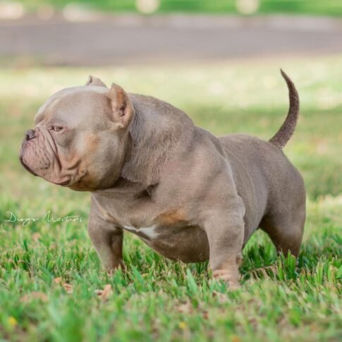 324073744_725323339015153_6577923414981036256_n